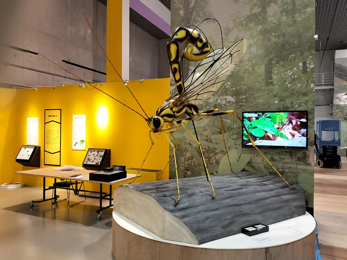 国立科学博物館 特別展「昆虫 MANIAC」の巨大昆虫模型を製作しました