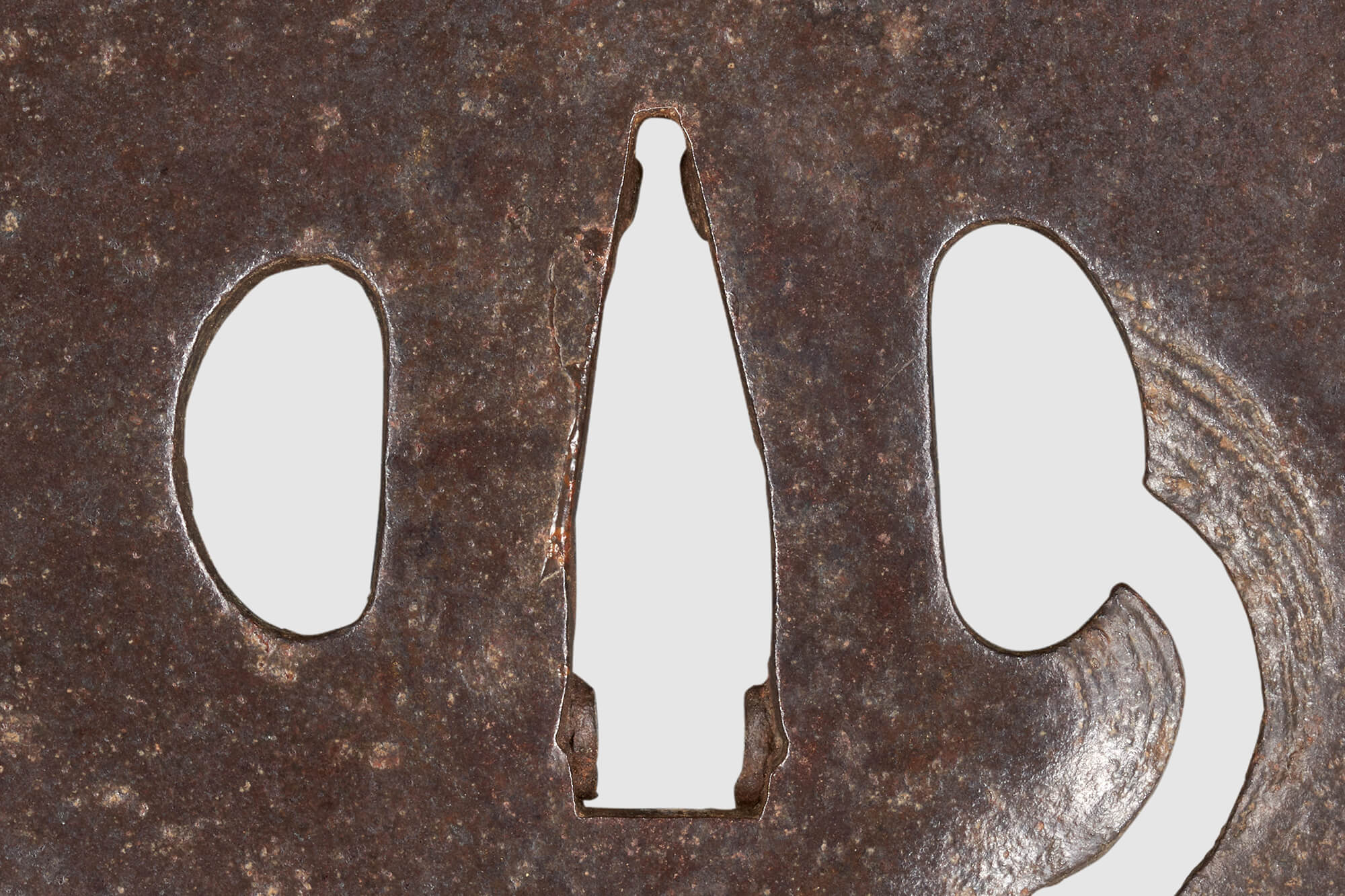 雲龍図鍔 銘 若芝／ホームメイト