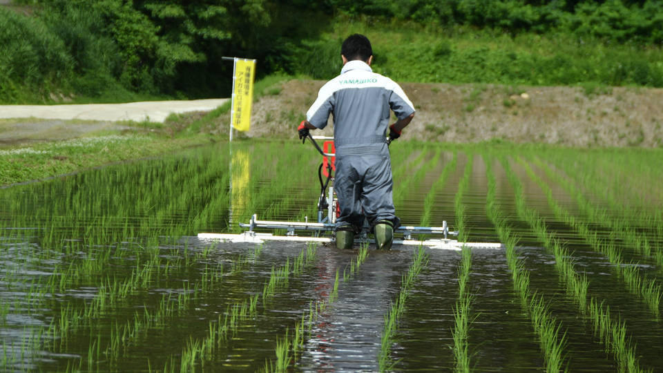 有機栽培水田除草機の実演会を開催しました - 津南町ホームページ