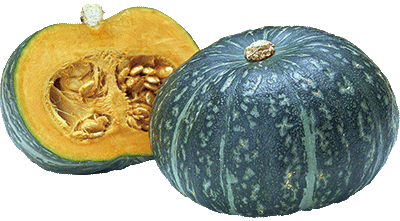 南風原町の特産品「かぼちゃ」 - 南風原町魅力発信サイト - 南風原町