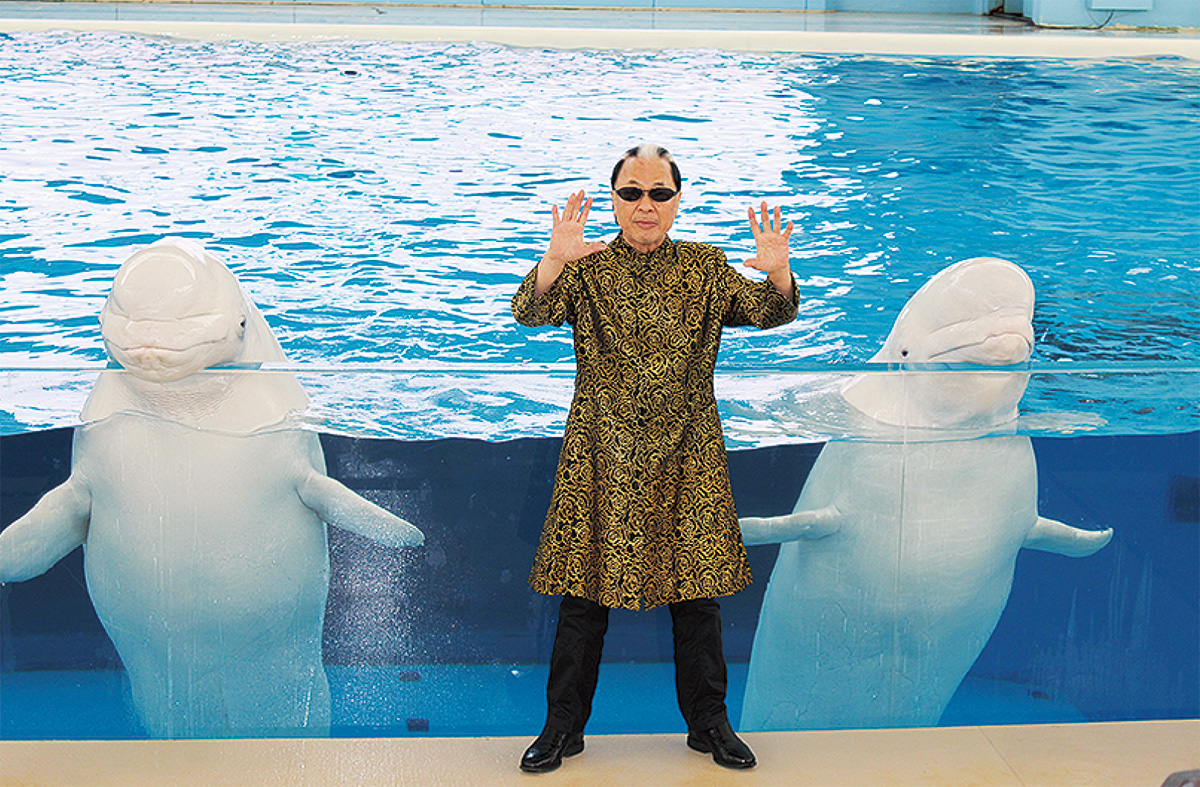 イルカが超魔術？ シーパラで新・海のショー開始 | 金沢区・磯子区