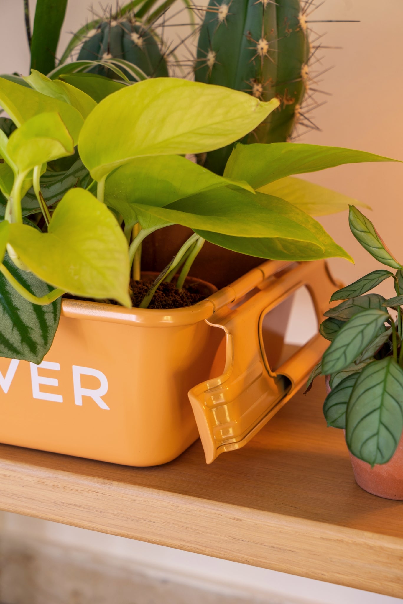 Parts Box M-8 PLANT LOVER TR (Terracotta) | 東洋スチール株式会社