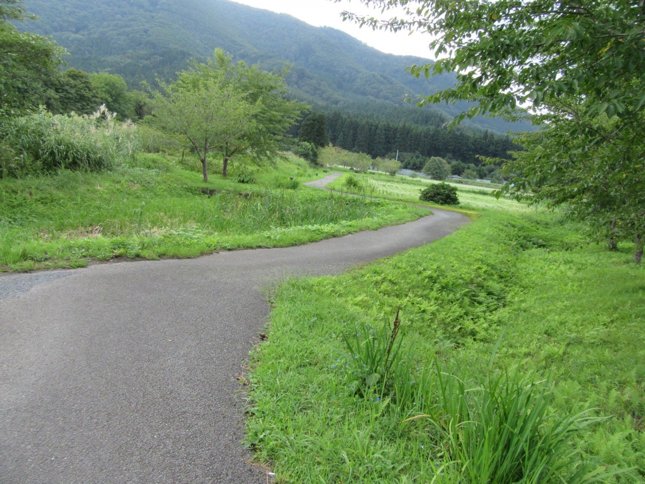 堺田分水嶺 【最上町】｜東北の観光スポットを探す | 旅東北 - 東北の