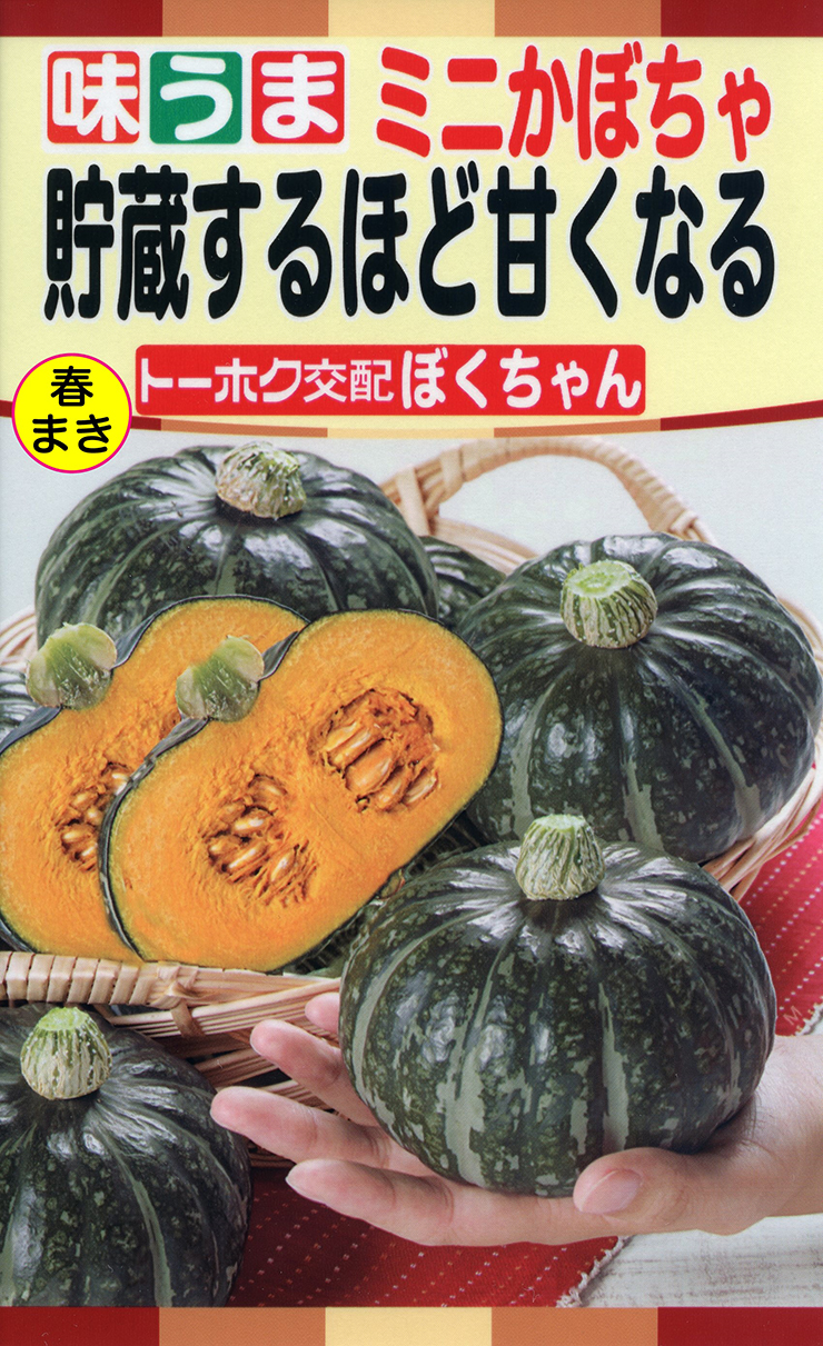 貯蔵するほど甘くなるミニカボチャ ぼくちゃん | 野菜のタネ | 株式
