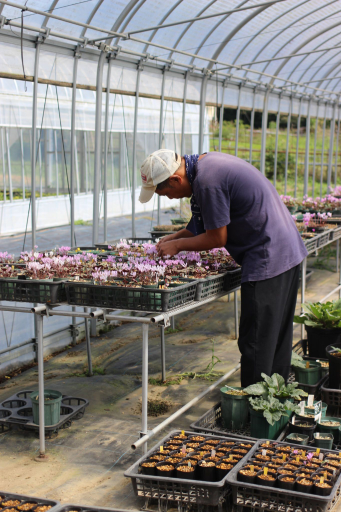 インタビュー | 多肉植物・特別な鉢の販売 | トーキー | TOKY