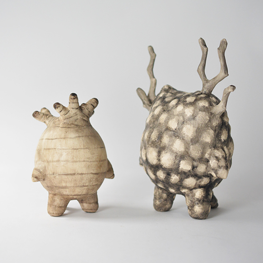 マダガスカルマラカス 野焼鬼婦酢先輩 | 多肉植物・特別な鉢の販売