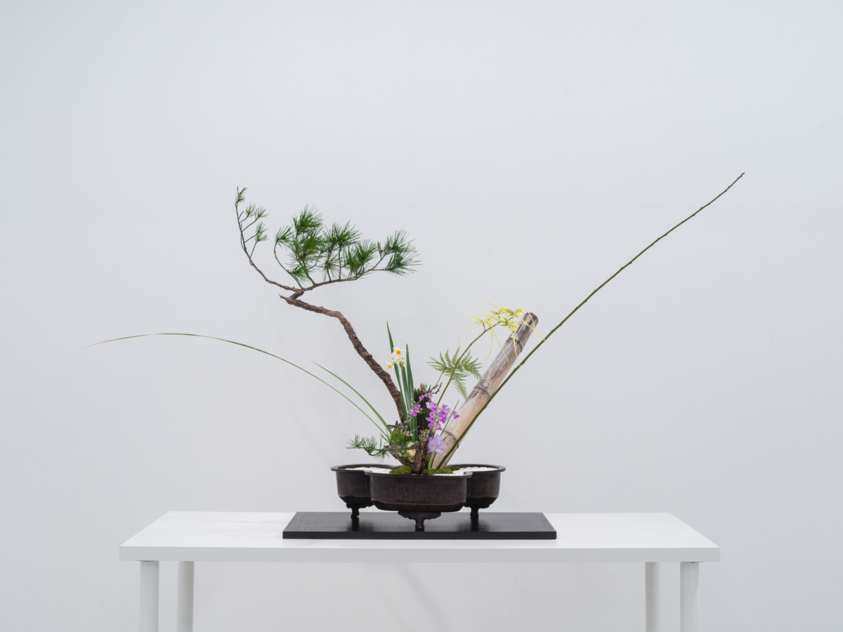 花をアートへ | EXHIBITIONS | 東京画廊 + BTAP TOKYO GALLERY +