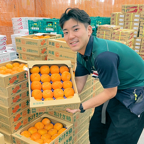 和歌山県・新潟県『たねなし柿』 - 東京青果株式会社