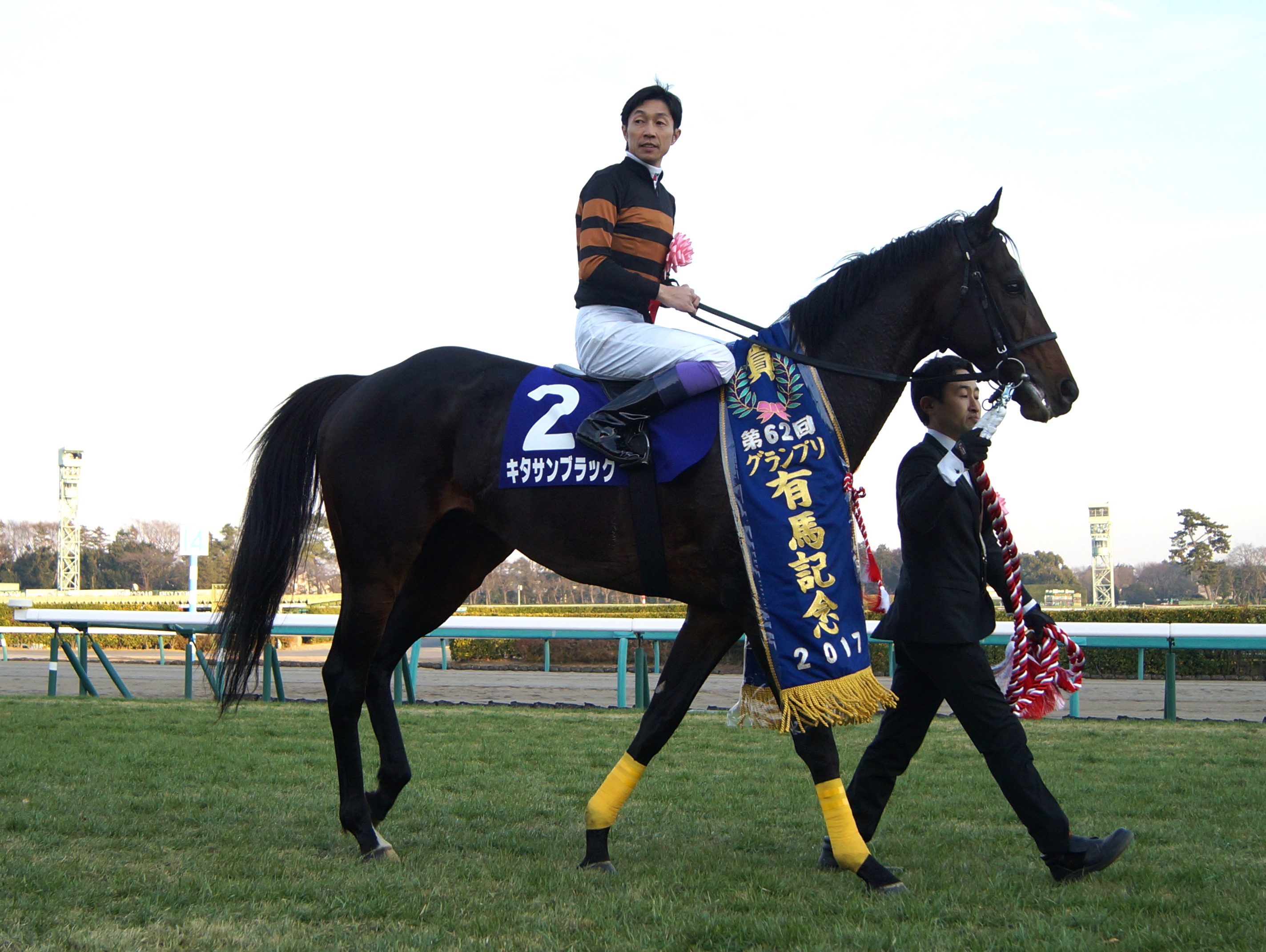 コラム詳細｜東京サラブレッドクラブ