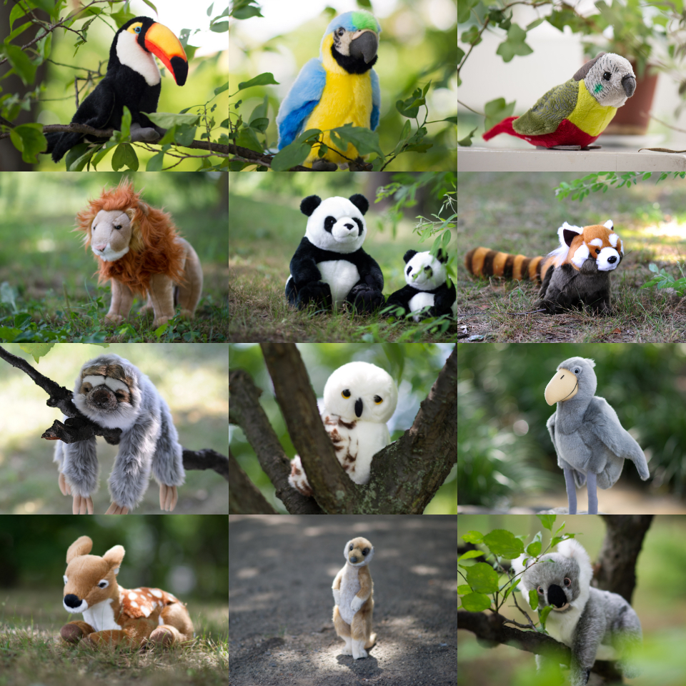 リアルさと愛らしさ。お子様の「知りたい」に応える〈100+1〉の