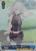 できたてころね 戌神ころね【ヴァイスシュヴァルツトレカお買得価格