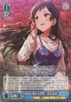 都会の風に吹かれて 白石 紬【ヴァイスシュヴァルツトレカ高価買取価格