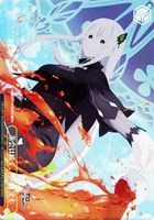 ミニレム【ヴァイスシュヴァルツトレカお買得価格通販：CBトレコロ】