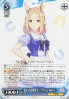 ジンクスに挑むお嬢様 サトノダイヤモンド【ヴァイスシュヴァルツ