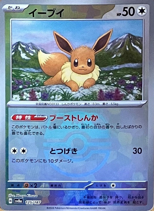 イーブイ[ミラー仕様][マスターボール柄]【ポケモンカードトレカお買得