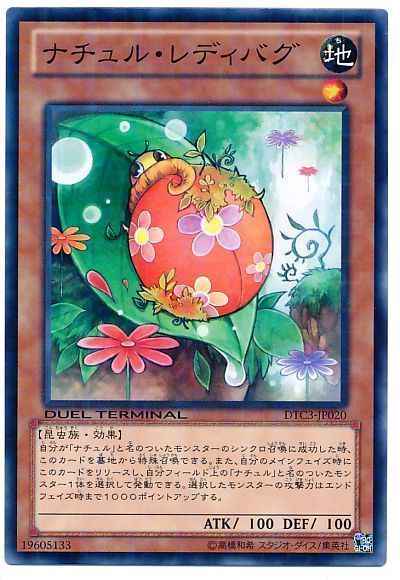 遊戯王】 デュエルターミナル クロニクルIII 破滅の章(DTC3)｜トレカの
