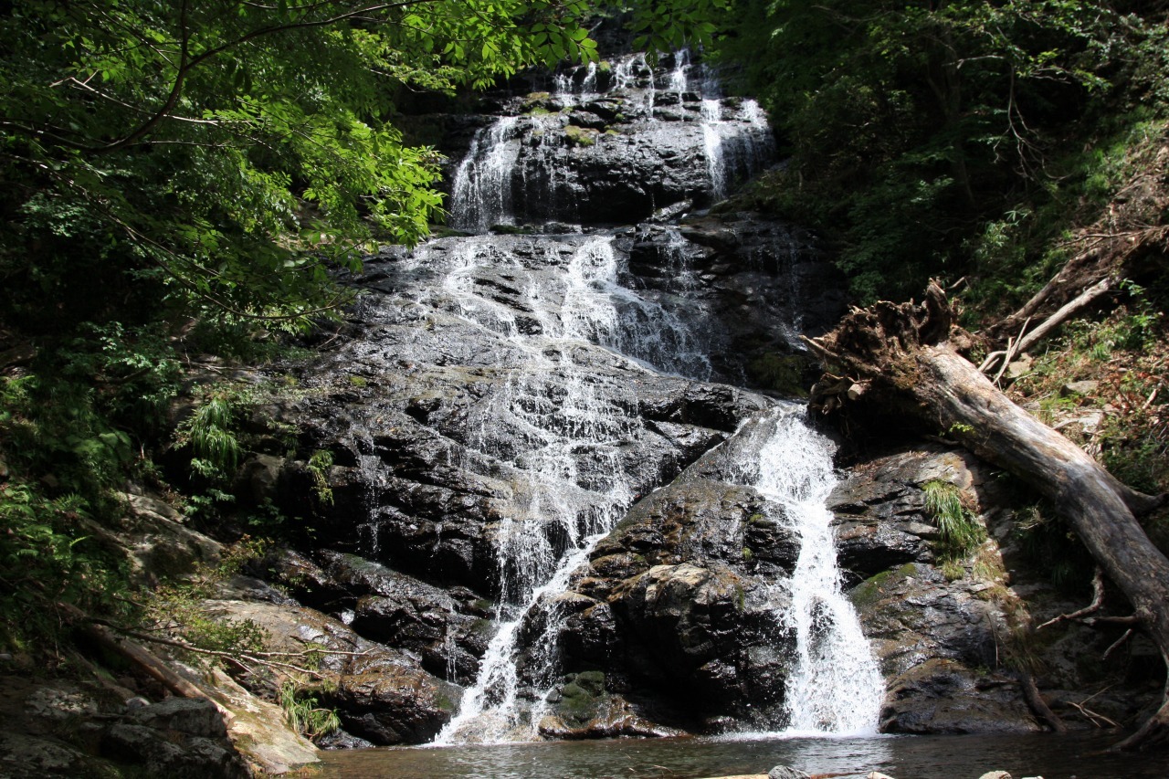 幻の滝（久曽木大滝）｜観光スポット｜鳥取市観光サイト【公式