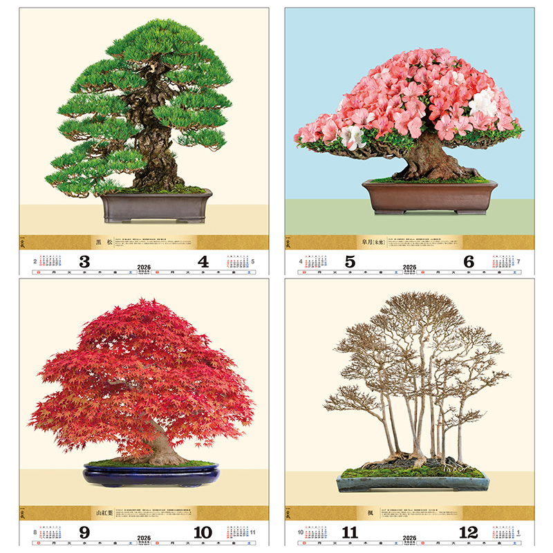 盆栽DX（2026年版）｜株式会社トーダン