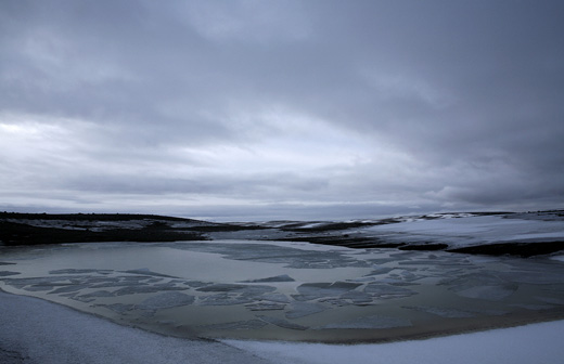 Hyena?Jackal?VultureHyena?Jackal?Vulture|杉本博司Hiroshi Sugimoto