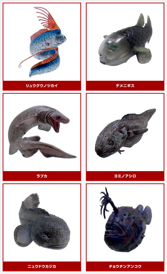 不思議生物大百科 深淵の放浪者 深海魚 | おすすめ商品 バックナンバー