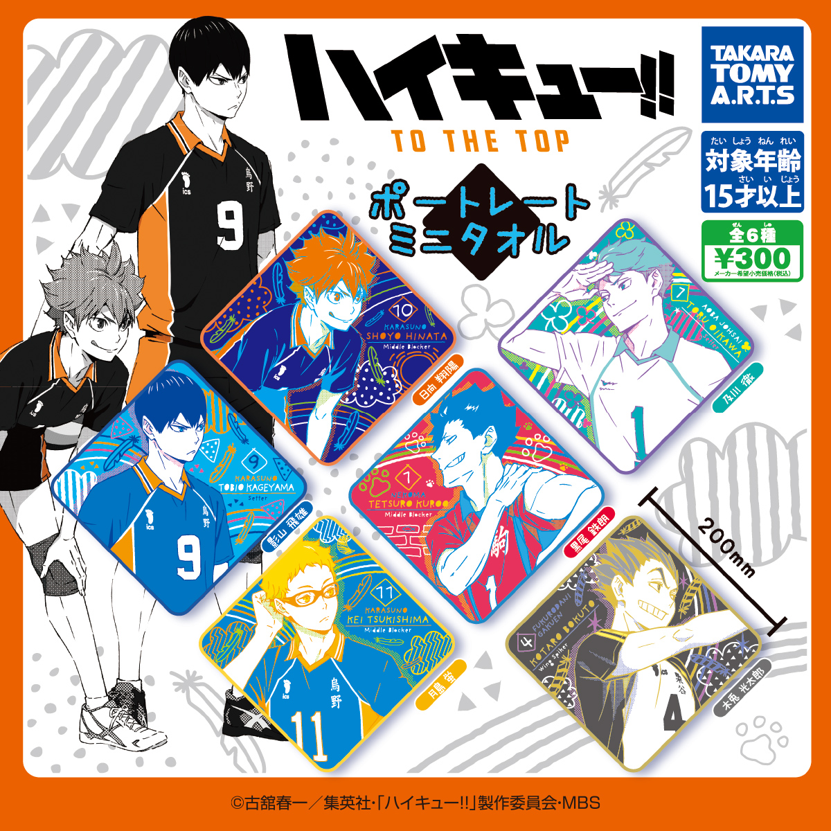 ハイキュー!! TO THE TOP ポートレートミニタオル｜商品情報｜タカラ