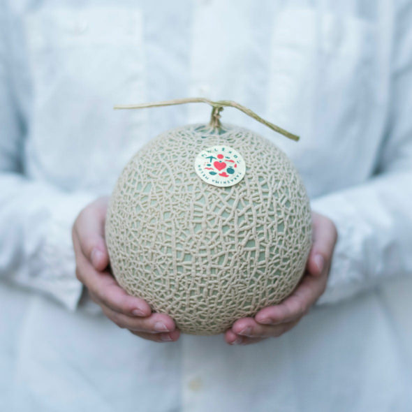 img-melon1-590x590.jpg