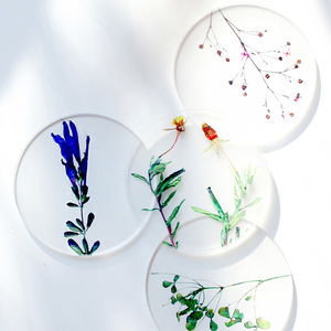 ワイルド ストロベリー スクエア トレイ | 商品詳細 | 高島屋