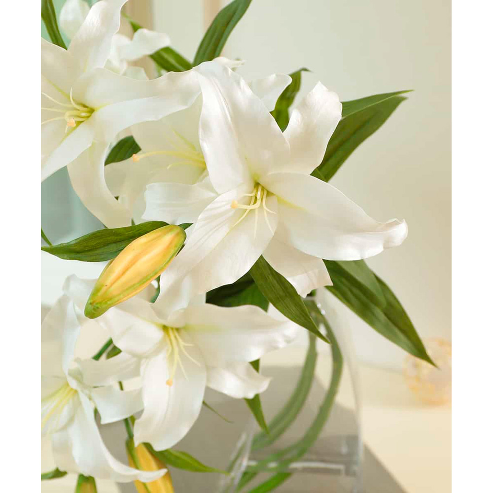 カサブランカ 5L | 商品詳細 | 高島屋オンラインストア