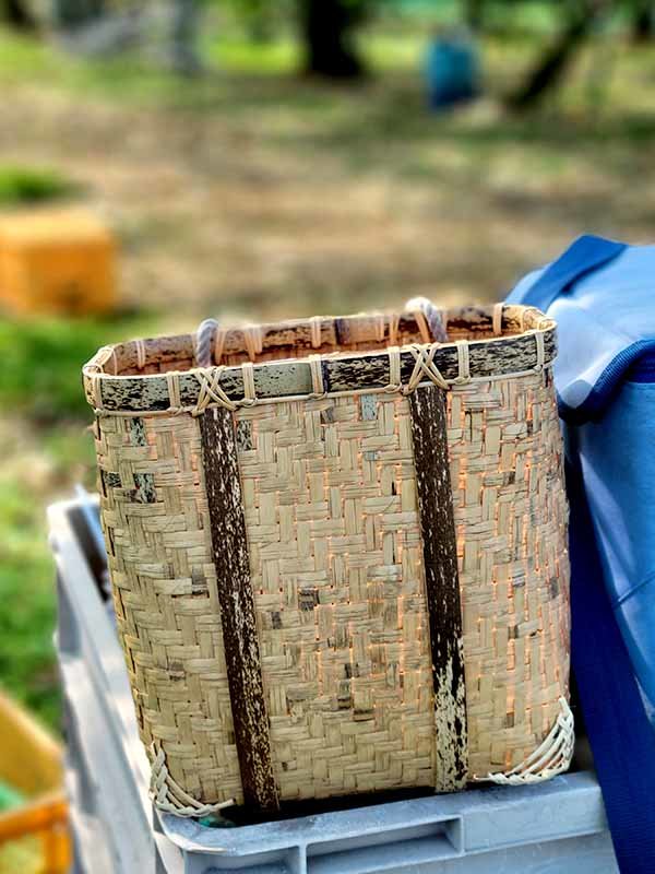 幻の籠？メゴ笹洗濯籠の持ち手付 - 竹虎四代目がゆく！