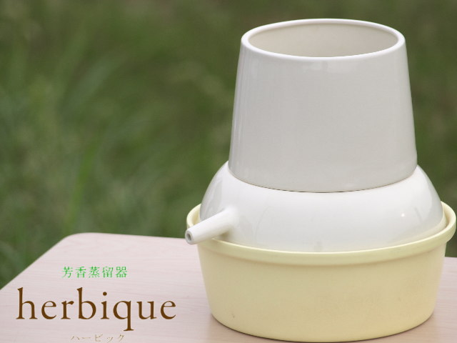 芳香蒸留器「herbique」 ハービック 香りの樹メラレウカ、ティーツリー
