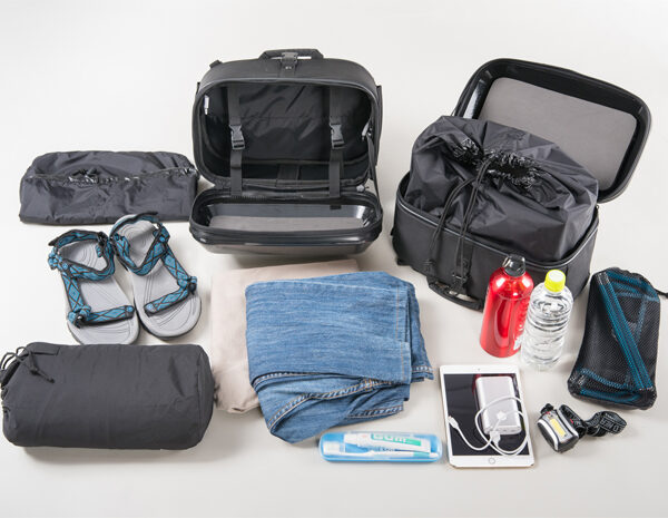 ミニシェルケース（カーボン柄） | タナックス株式会社