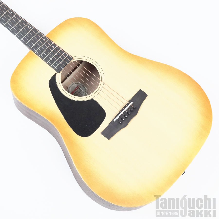 Morris - 谷口楽器