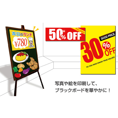 たのめーる】マグエックス ぴたえもん インクジェットプリンタ専用