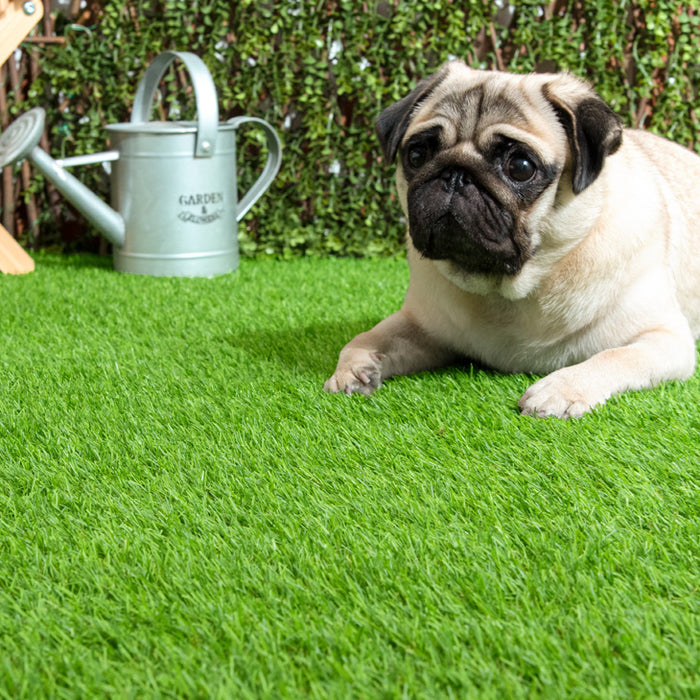 2m×10m] 超高密度 人工芝 高耐久 芝丈20mm 人工芝ロール U字ピン48本付