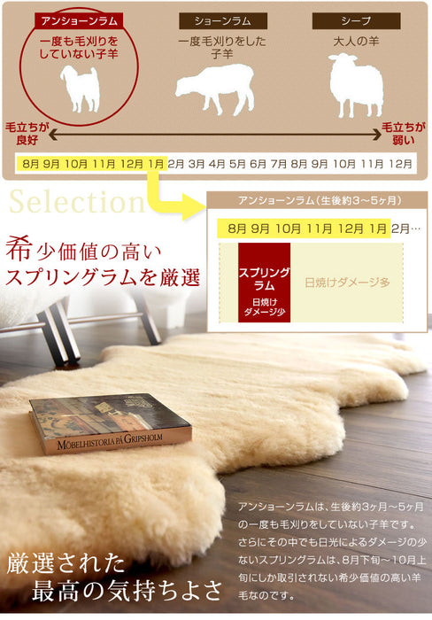 ムートンラグ 約65×180 日本製 厚手 抗菌 防ダニ 2匹物 洗濯できる