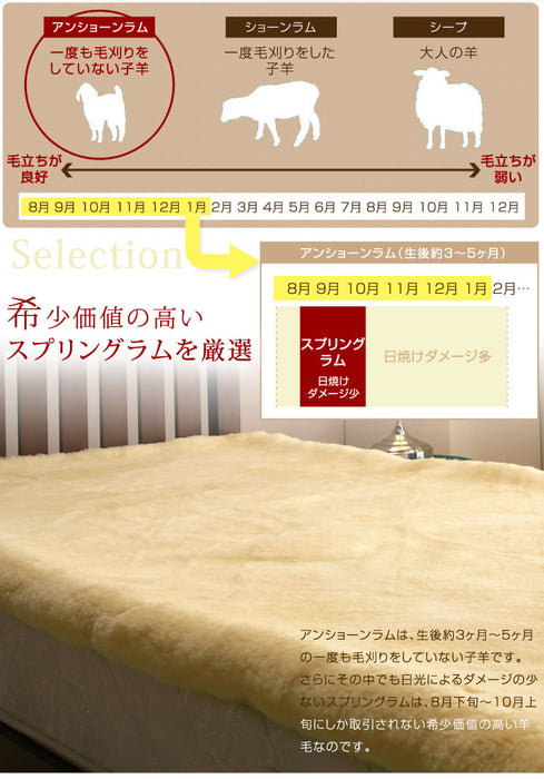 日本製 ムートンシーツ ダブル 〔87250057〕 — 【公式】タンスのゲン