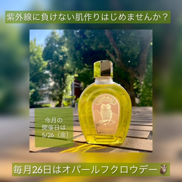 3店舗限定】OPAL 5月26日はフクロウデー☆ | THE COSMETIC TERRACE