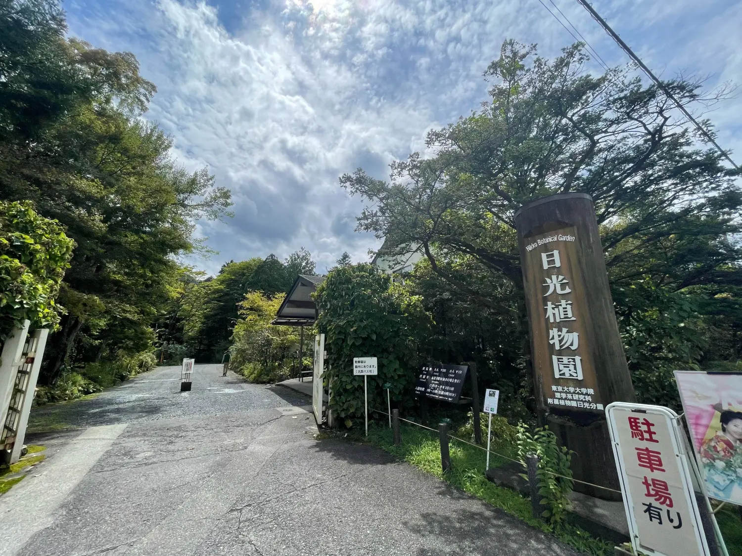らんまん」のモデル牧野富太郎気分で散策。高山植物やキレンゲショウマ