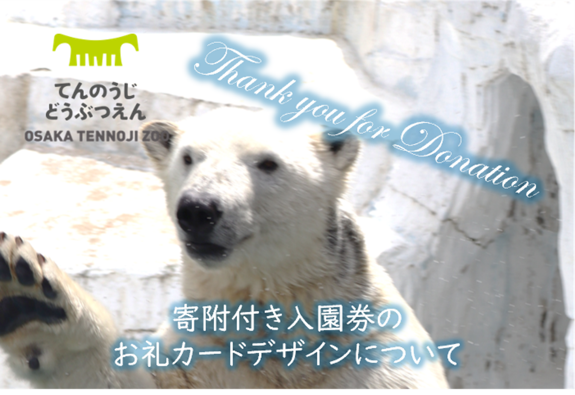 寄附付き入園券のお礼カードデザインについて | 地方独立行政法人