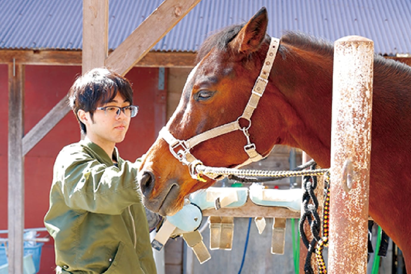 ホースセラピー | 社会連携 | 天理大学