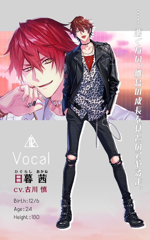 DIG-ROCK（ディグロック）｜Mintlip