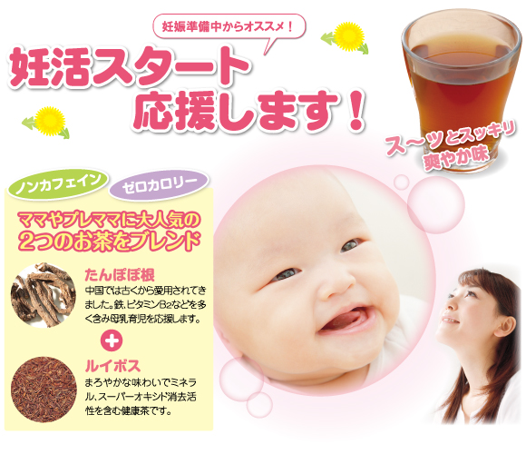 128）ルイボスたんぽぽ茶ポット用 | お茶の通販・ギフト