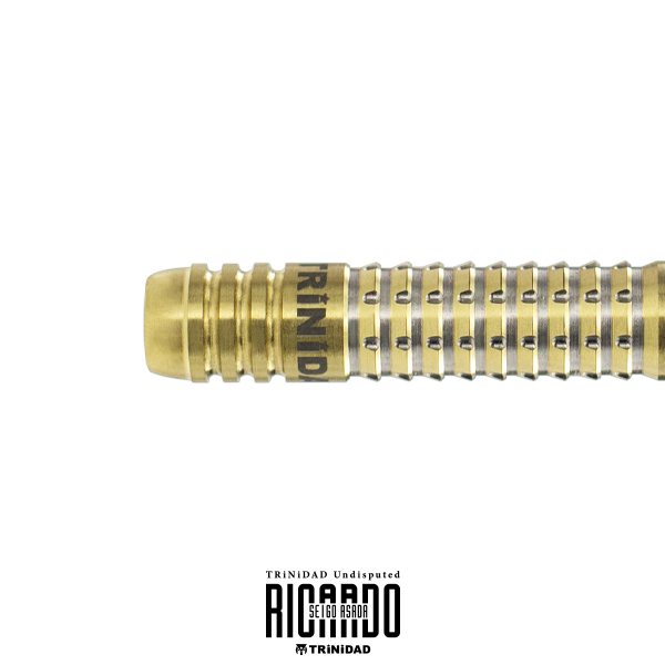 ダーツ バレル TRiNiDAD Undisputed RICARDO 浅田斉吾 選手モデル