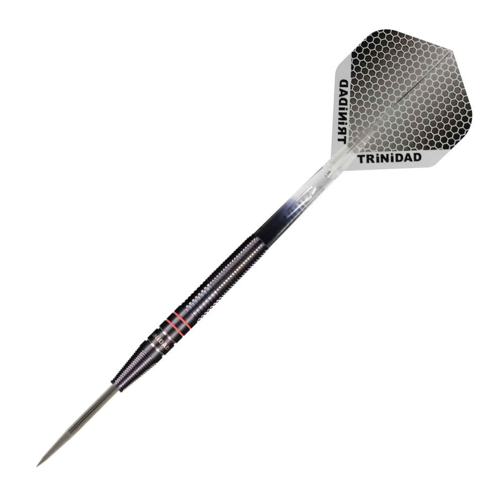 ダーツ バレル TRiNiDAD PRO HUGO Hugo Leung 選手モデル トリニダード