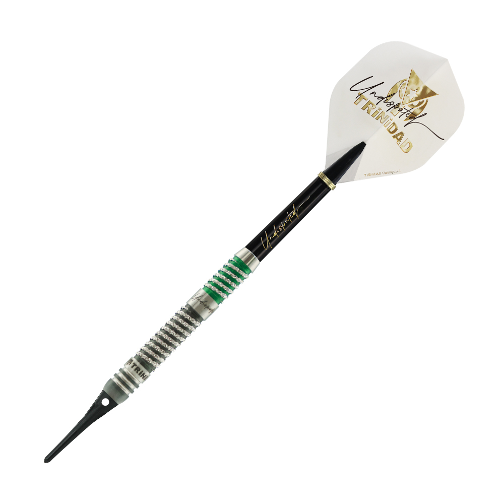 ダーツ バレル TRiNiDAD Undisputed RICARDO2 浅田斉吾 選手モデル