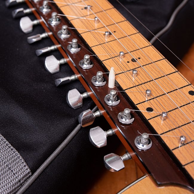 インドのスライド・ギター モハーンヴィーナ の通販[送料無料