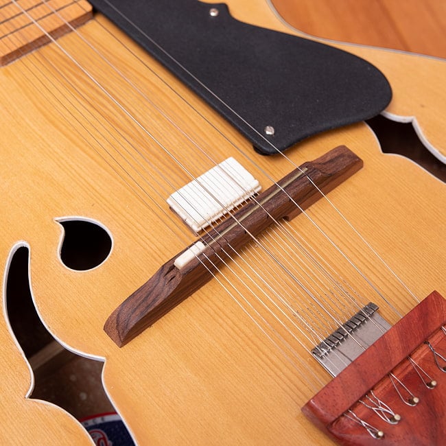 インドのスライド・ギター モハーンヴィーナ の通販[送料無料