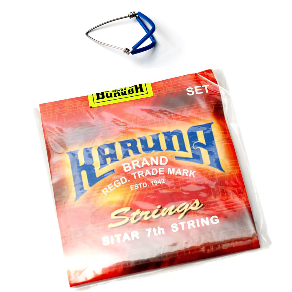 Kartar Music House社製】シタールセット（グラスファイバーケース