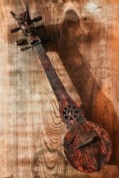 1点物】トゥンナ tungna ネパール伝統の弦楽器 クラシック の通販[送料