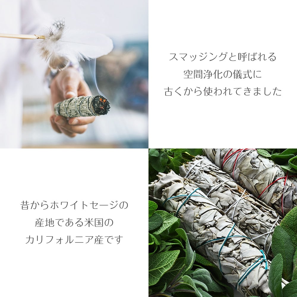 カリフォルニア ホワイトセージ 無農薬 ワンド バンドル スティック